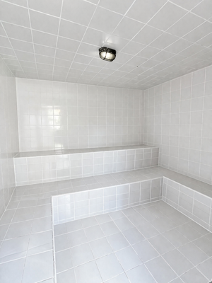 Apartamento en La Castellana