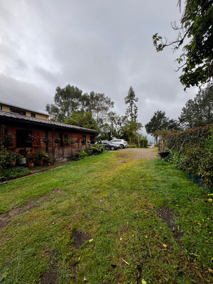 Finca en San Félix - Bello